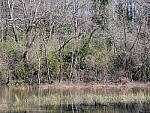 Click to see Y-GH6_BETA-P1000018.JPG