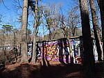 Click to see Y-GH6_BETA-P1000072.JPG