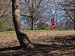 Click to see Y-GH6_BETA-P1000109.JPG