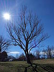 Click to see Y-GH6_BETA-P1000128.JPG