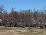 Click to see Y-GH6_BETA-P1000135.JPG