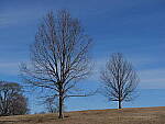 Click to see Y-GH6_BETA-P1000148.JPG