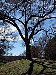 Click to see Y-GH6_BETA-P1000157.JPG