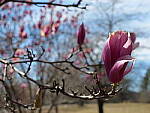 Click to see Y-GH6_BETA-P1000171.JPG