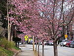 Click to see Y-GH6_BETA-P1000217.JPG