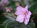 Click to see Y-JG-PAN-GH6-0275-ISO-3200.JPG