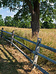 Click to see Y-JG-PAN-GH6-0347-MOD.JPG