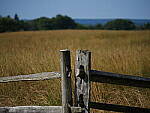 Click to see Y-JG-PAN-GH6-0389.JPG