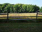 Click to see Y-JG-PAN-GH6-0439.JPG