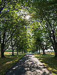 Click to see Y-JG-PAN-GH6-0446-MOD.JPG