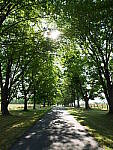 Click to see Y-JG-PAN-GH6-0446.JPG