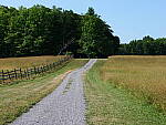 Click to see Y-JG-PAN-GH6-0457.JPG