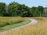Click to see Y-JG-PAN-GH6-0470.JPG