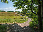 Click to see Y-JG-PAN-GH6-0479-MOD.JPG