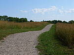 Click to see Y-JG-PAN-GH6-0483.JPG