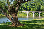Click to see Y-JG-PAN-GH6-0568-MOD.JPG