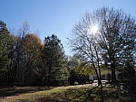 Click to see YP1010575.JPG