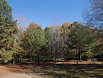 Click to see YP1010626.JPG