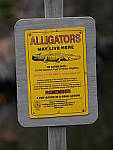 Click to see YP1020597_150mm.JPG