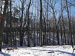 Click to see YP1130527_12-35mm.JPG