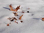 Click to see YP1130530_12-35mm.JPG