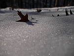 Click to see YP1130533_12-35mm.JPG