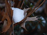 Click to see YP1130535_12-35mm.JPG