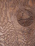 Click to see YP1130540.JPG