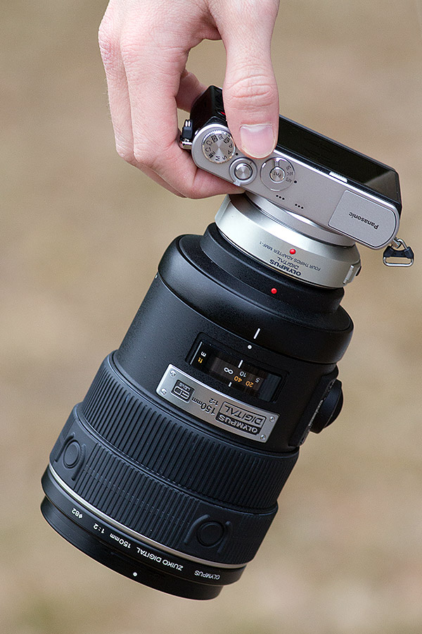 Panasonic GM1 Review