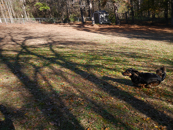 Panasonic GM1 Review -- gallery sample image