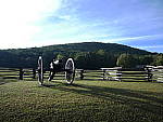 Click to see YP1030045.JPG