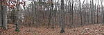 Click to see YP1260003-PanoramaMode.JPG