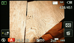 Panasonic GM5 review -- playback image