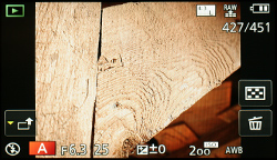 Panasonic GM5 review -- playback image