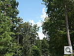 Click to see GX7PINE_SPdefaults.JPG