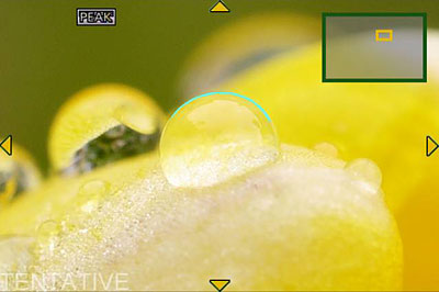 Panasonic GX7 review -- Focus peaking