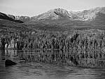 Click to see YP1030831-CF-Dyn-Mono.JPG
