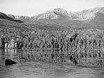 Click to see YP1030832-CF-Rough-Mono.JPG