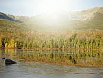 Click to see YP1030849-CF-Sunshine.JPG