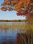Click to see YP1040123.JPG