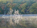Click to see YP1040788.JPG