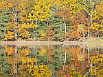 Click to see YP1040815.JPG