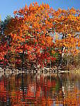 Click to see YP1040830.JPG