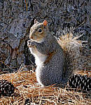 Click to see Y_100-400-a0057-edit.JPG