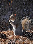 Click to see Y_100-400-a0060.JPG