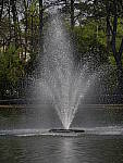 Click to see Y_100-400-a0069.JPG