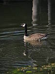 Click to see Y_100-400-a0073.JPG