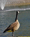 Click to see Y_100-400-a0078-edit.JPG