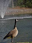Click to see Y_100-400-a0078.JPG