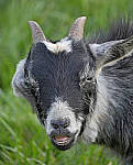 Click to see Y_100-400-a0930-edit.JPG